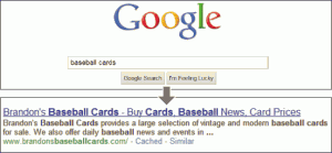 Screenshot showing a user query in the Google search box